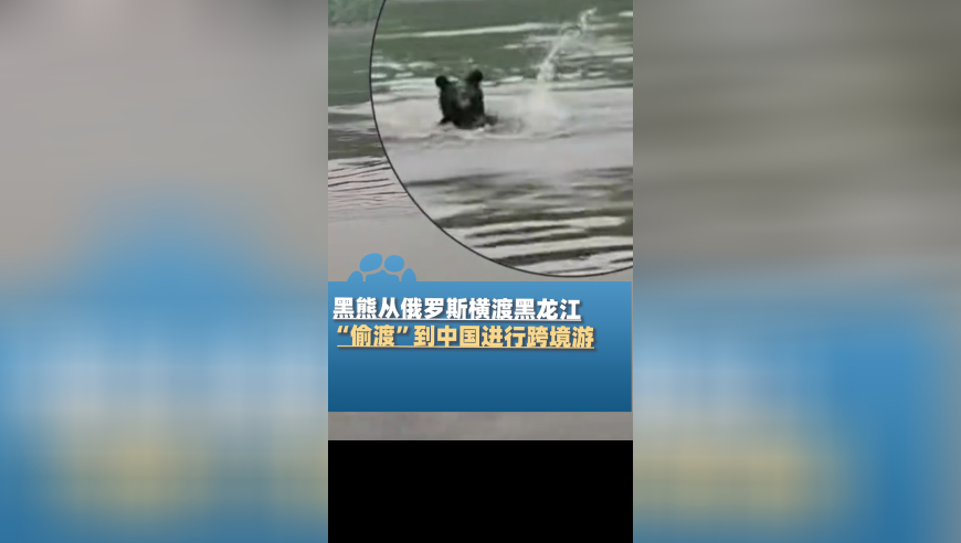 下周44股迎限售股解禁,62109澳门资料查询最新,权威独家讨论与热门话题_AR版V13.18
