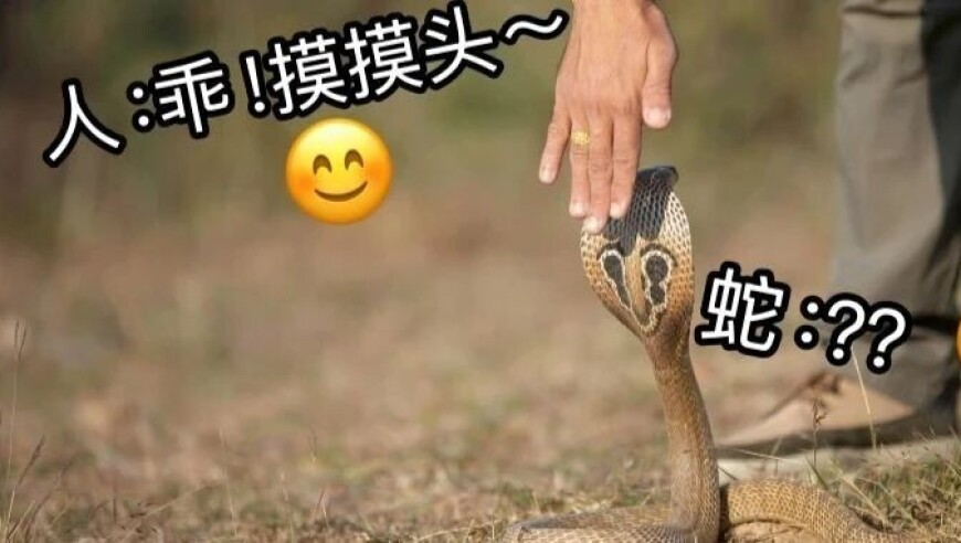 飞机滑行乘客非要上厕所并辱骂砸门,2025年澳门正版资料大全免费2025版,整体规划执行讲解_iPadV15.92