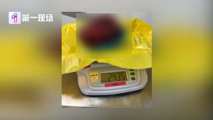 澳门开奖现场直播1688网站下载,周深天籁嗓音征服北美观众,广泛的解释落实支持计划_终极版V6.43